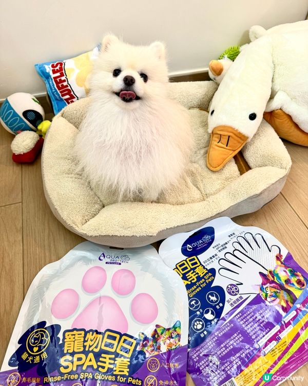 狗狗愛上spa😍😍