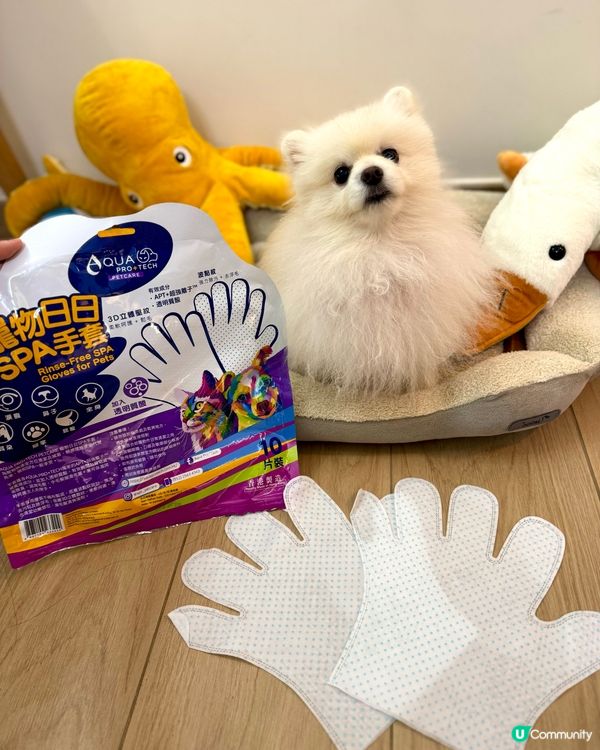 狗狗愛上spa😍😍