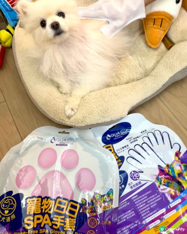 狗狗愛上spa😍😍