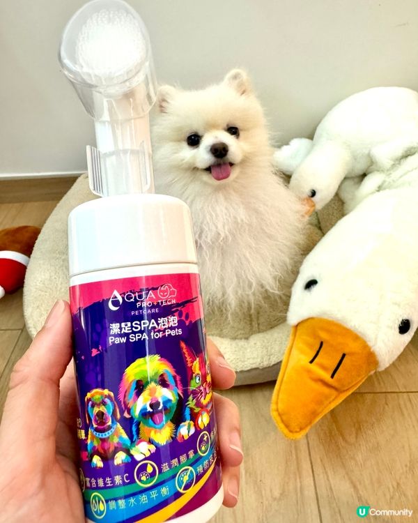 🐶超方便腳掌Spa泡泡😍