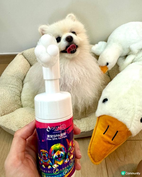 🐶超方便腳掌Spa泡泡😍