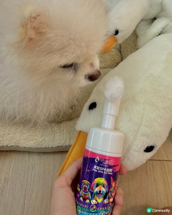 🐶超方便腳掌Spa泡泡😍