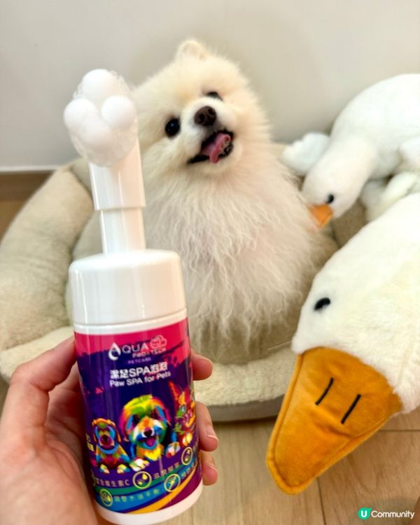 🐶超方便腳掌Spa泡泡😍