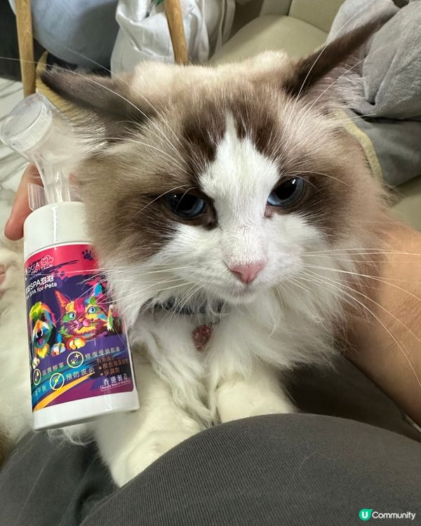 Spa另一份非常好既產品🥰