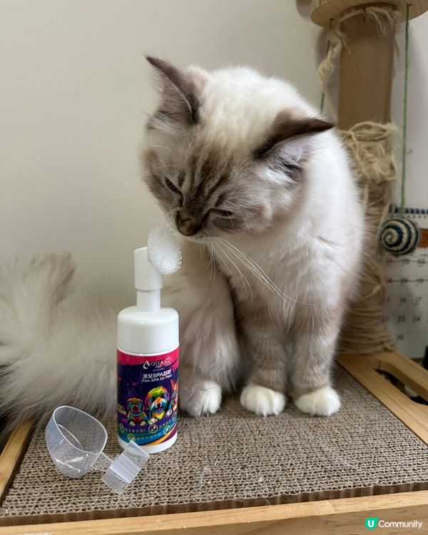 Spa另一份非常好既產品🥰