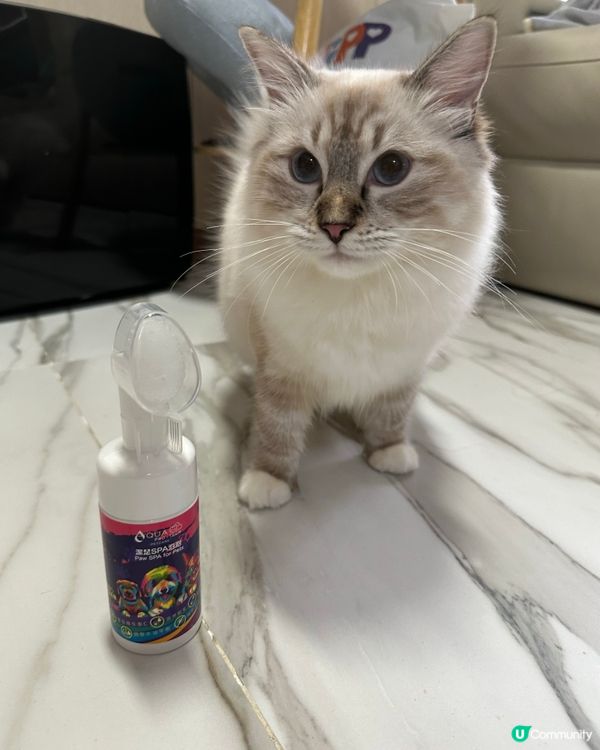 Spa另一份非常好既產品🥰