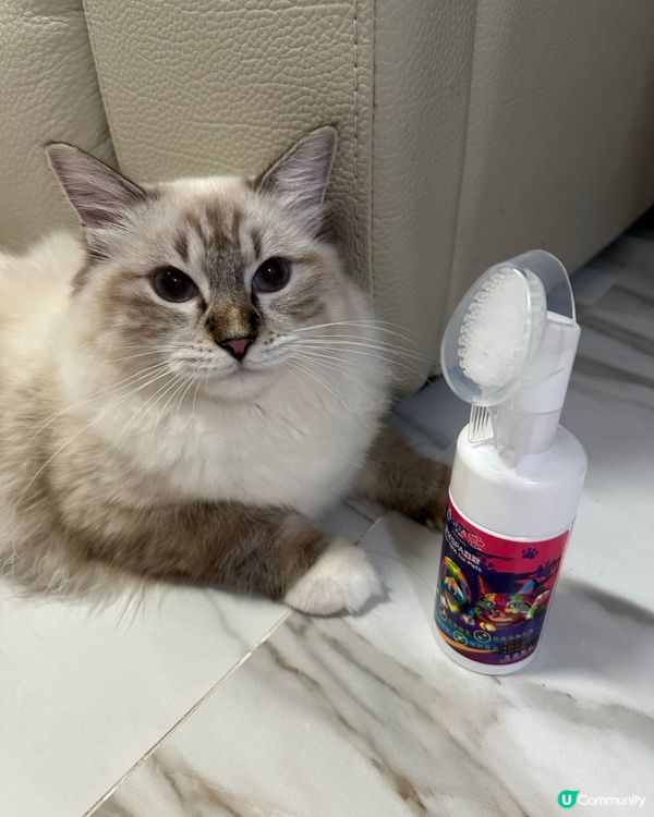 Spa另一份非常好既產品🥰