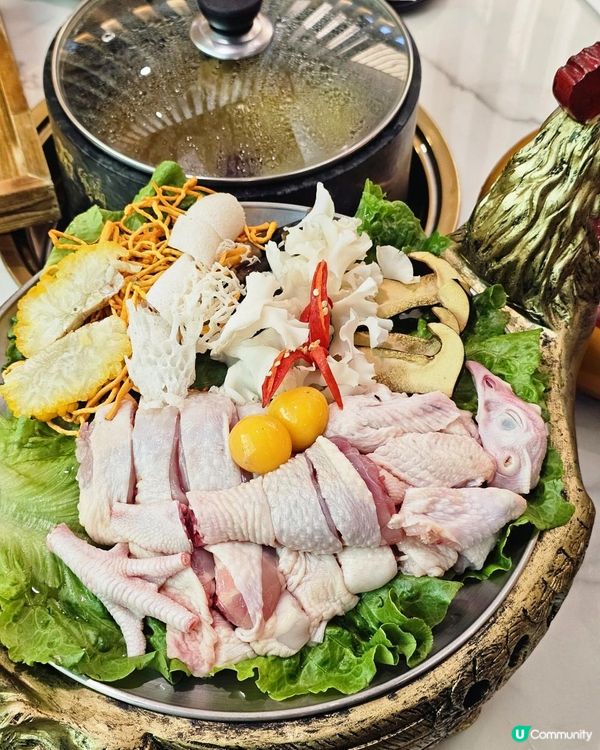 📍深圳必吃。養生火鍋🍲 錦煲·野生菌墨脫石鍋土雞