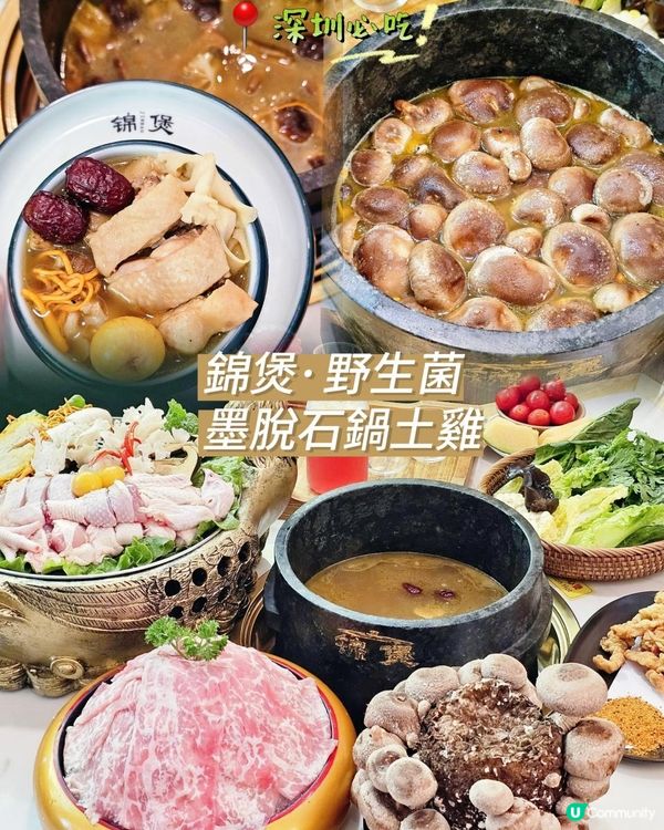 📍深圳必吃。養生火鍋🍲 錦煲·野生菌墨脫石鍋土雞