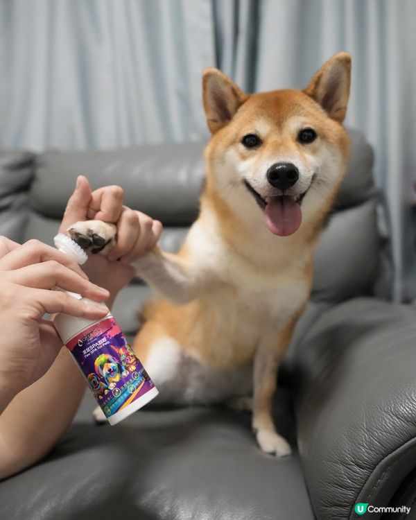 腳掌潔護SPA 泡泡