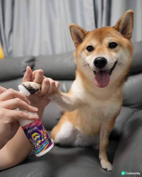 腳掌潔護SPA 泡泡