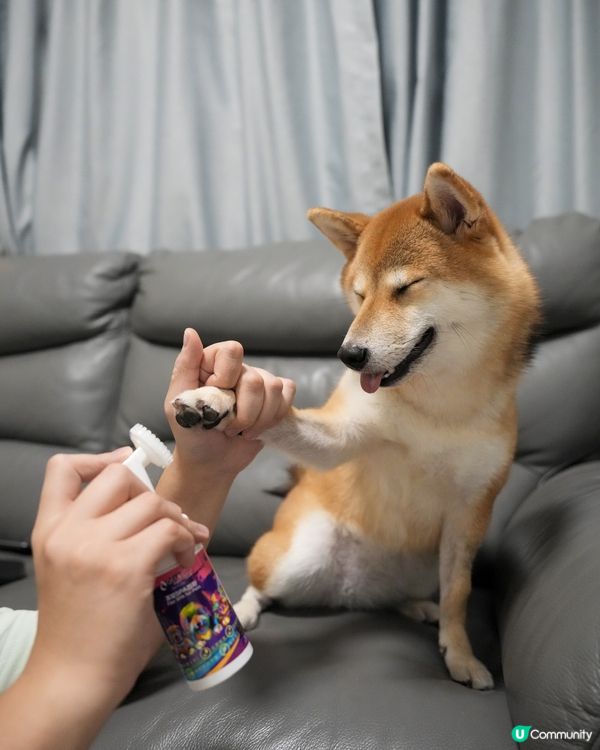 腳掌潔護SPA 泡泡