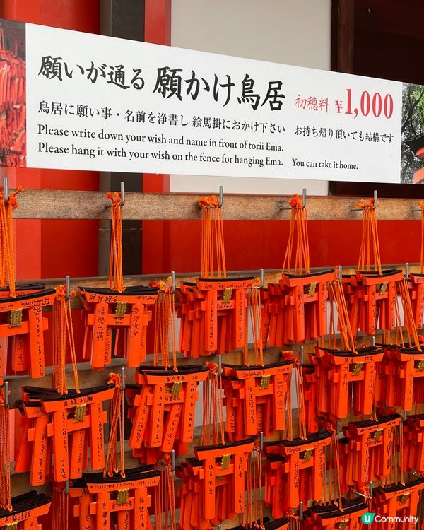 🇯🇵日本京都祈願小鳥居⛩️