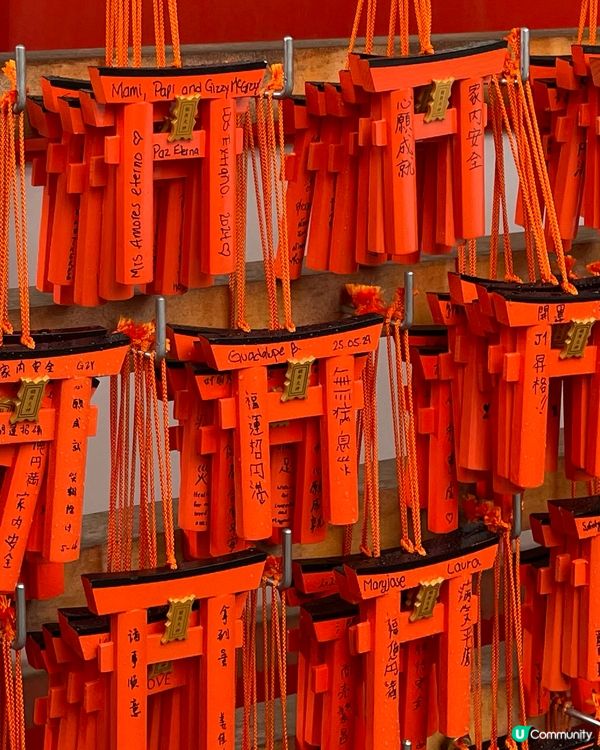 🇯🇵日本京都祈願小鳥居⛩️