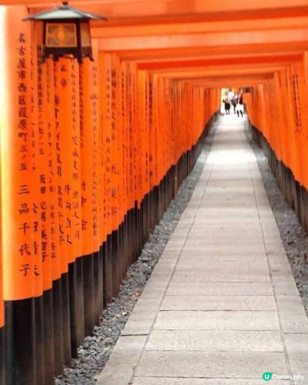 🇯🇵京都伏見稲荷大社⛩️千本鳥居