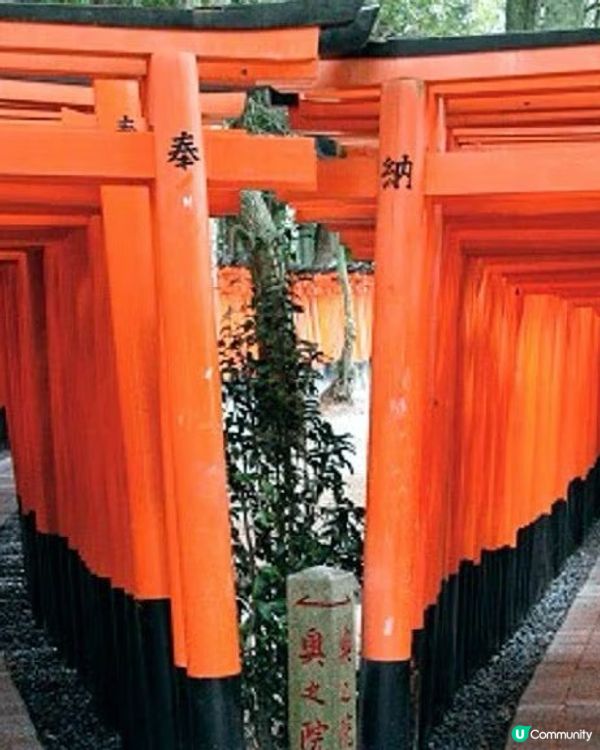 🇯🇵京都伏見稲荷大社⛩️千本鳥居