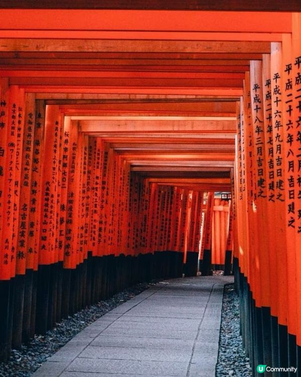 🇯🇵京都伏見稲荷大社⛩️千本鳥居