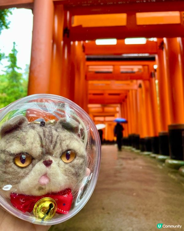 🇯🇵京都伏見稲荷大社⛩️千本鳥居