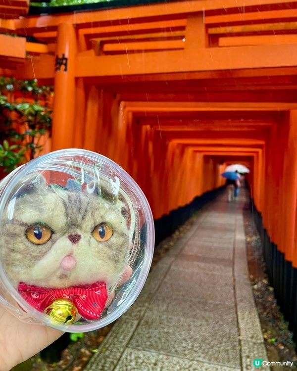 🇯🇵京都伏見稲荷大社⛩️千本鳥居