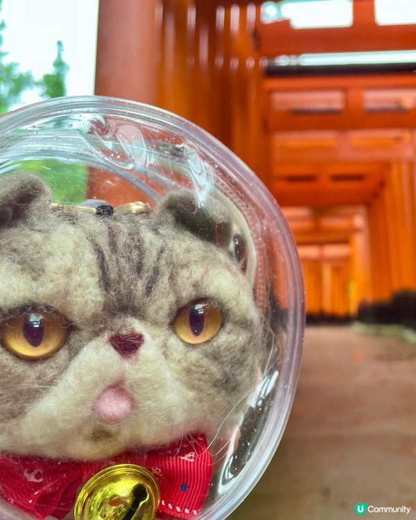 🇯🇵京都伏見稲荷大社⛩️千本鳥居