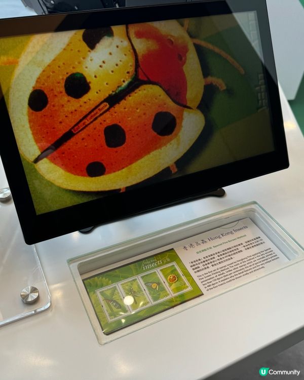 細味郵政歷史：中央郵件中心