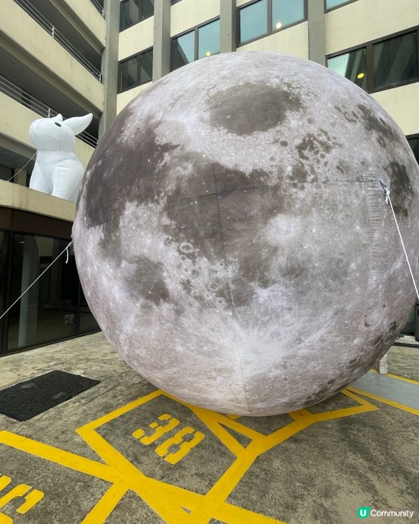 中秋打卡好去處～美荷樓