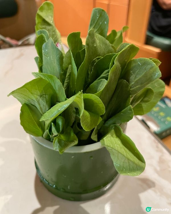 原汁原味椰子鍋