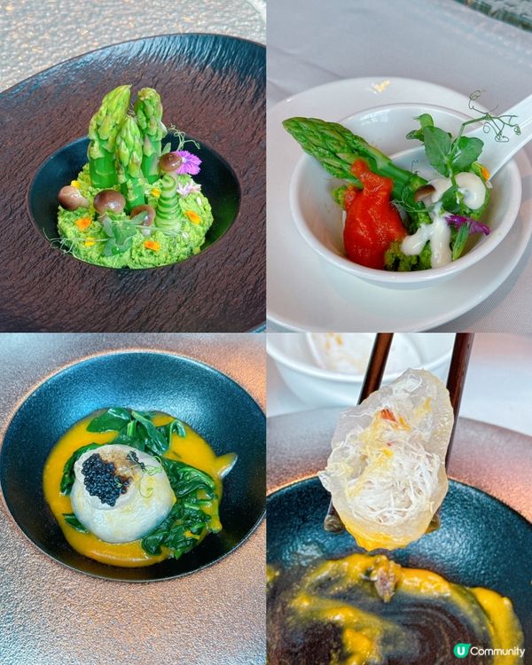 富豪金殿 🍨 零卡蒟蒻宴，健康又美味！