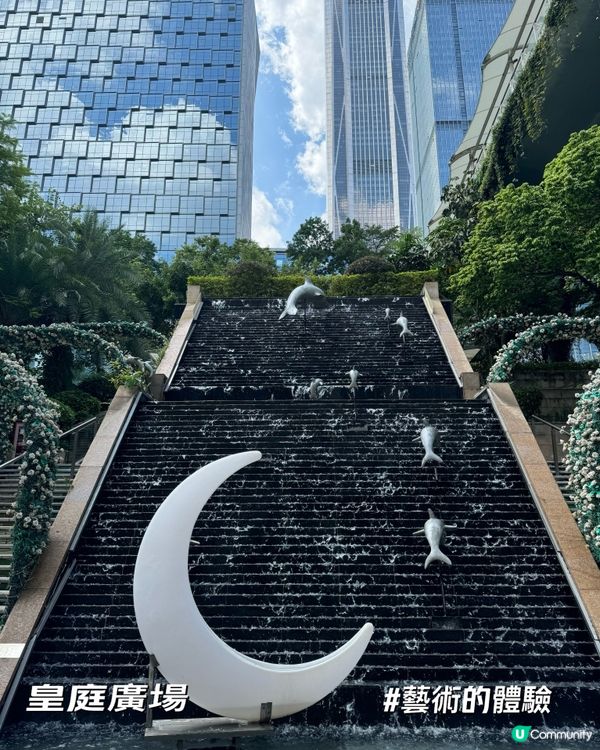 城景里的艺术呼吸：海豚在月亮下暢泳（皇庭廣場）