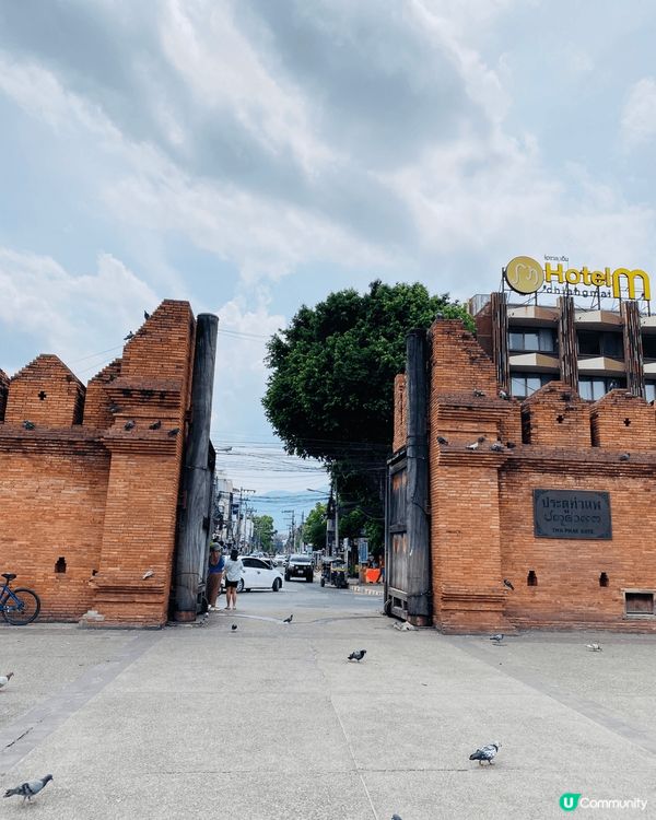 清邁古城塔佩門，到訪遊客必去之處，非常之多白鴿俾你餵