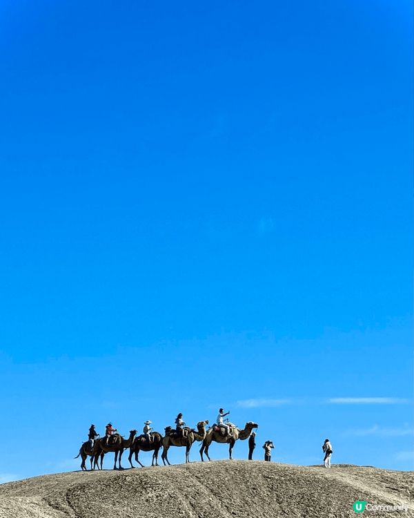 到了甘肅敦煌鳴沙山的沙漠，在一片沙海中騎着駱駝俯覽神州大地，...