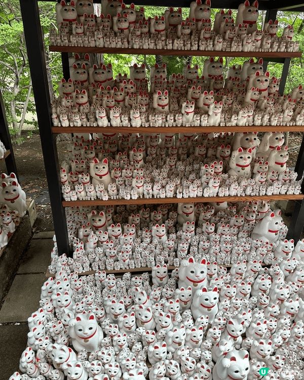 世田谷區的豪德寺，一個俾萬千多隻貓祝福的好地方，愛貓人士必去...