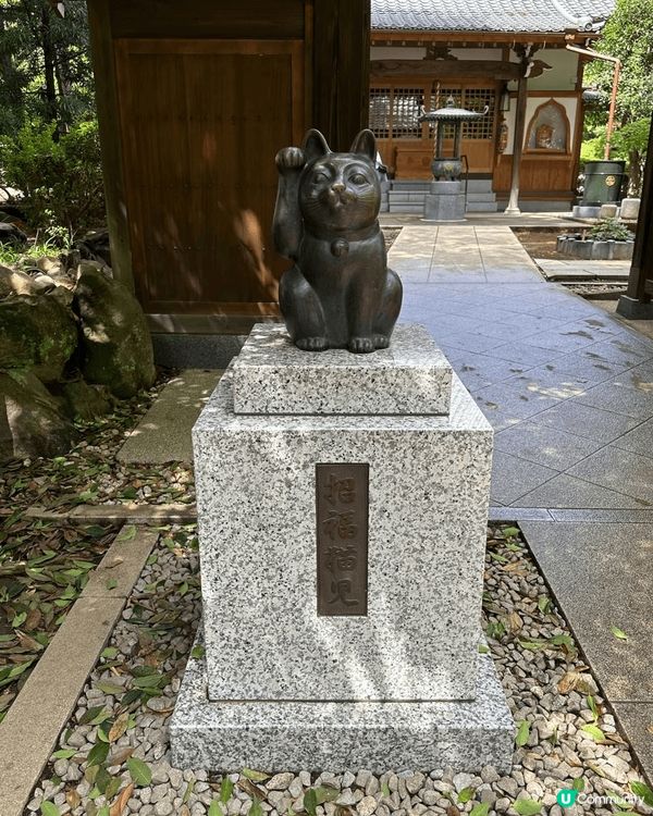 世田谷區的豪德寺，一個俾萬千多隻貓祝福的好地方，愛貓人士必去...