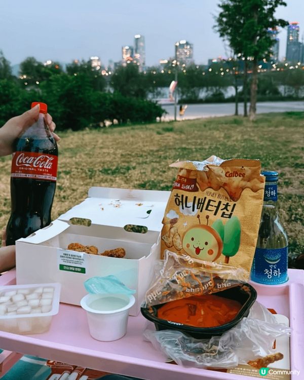 漢江公園野餐 韓國生牛肉生章魚 醬油蟹??