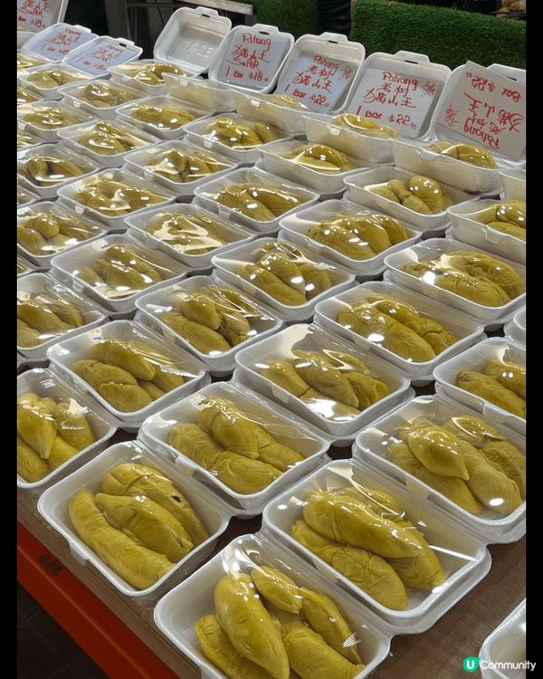 新加坡五日四夜🇸🇬