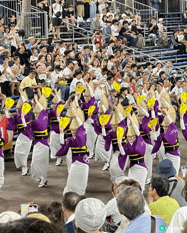 今年2024看到動感的夏祭，年輕人在陽光下散發青春和活力!
