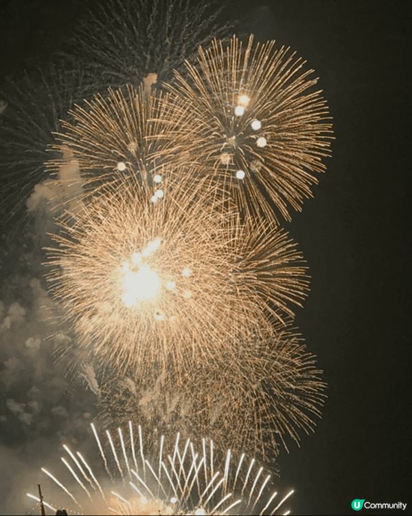 今年2024看到動感的夏祭，年輕人在陽光下散發青春和活力!
