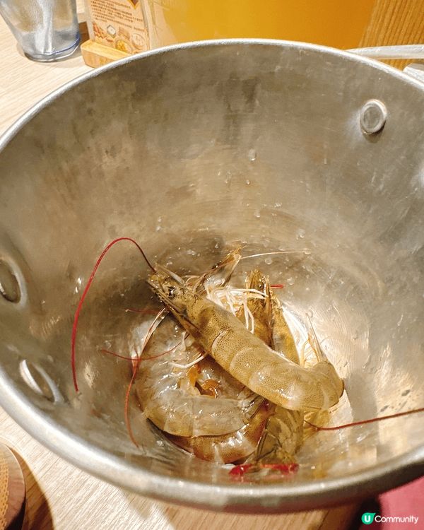 即撈即烚，自己嘅蝦自己撈，隻隻都係活蝦，爽彈好味泰式湯底，正...