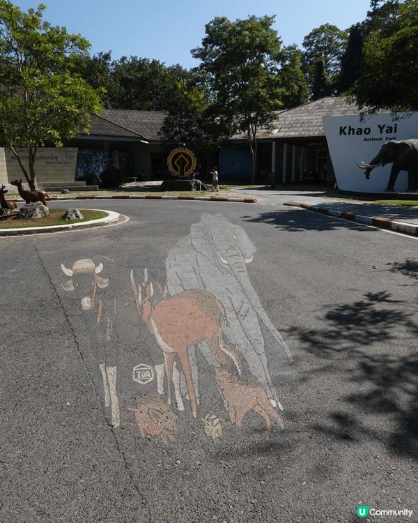 考艾野生動物公園，見到野生大象，好多雀，長臂猿，蛇，蜥蜴，鹿...