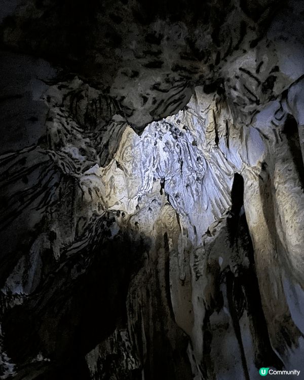 考艾野生動物公園，見到野生大象，好多雀，長臂猿，蛇，蜥蜴，鹿...