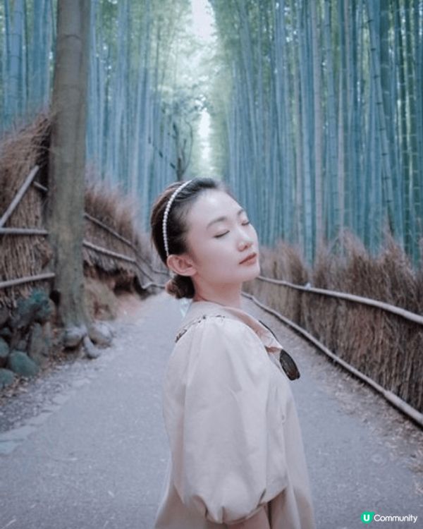 In the nature (Arashiyama Bamb...