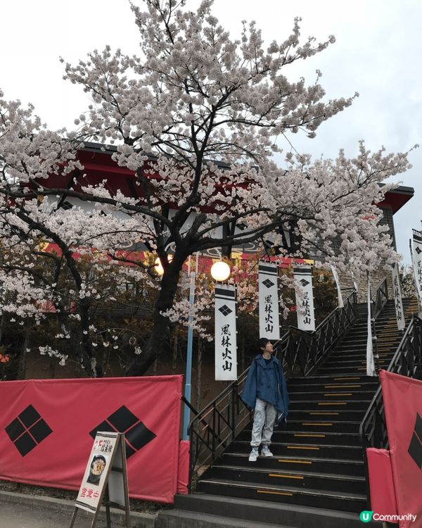 東京富士急樂園 有幸於櫻花時期到訪 店內美食值得一讚 不亦樂...