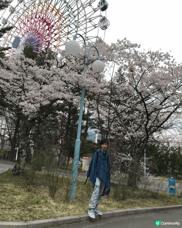 東京富士急樂園 有幸於櫻花時期到訪 店內美食值得一讚 不亦樂...