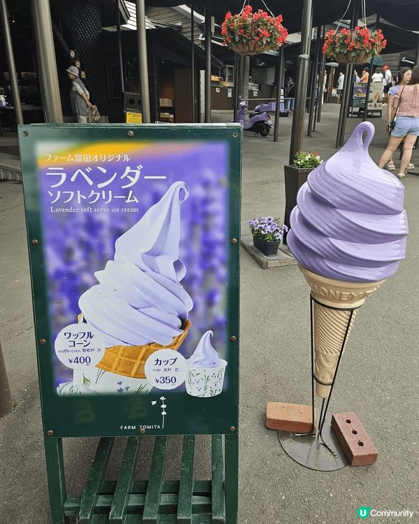 富良野的紫色夢幻 : 北星山薰衣草園