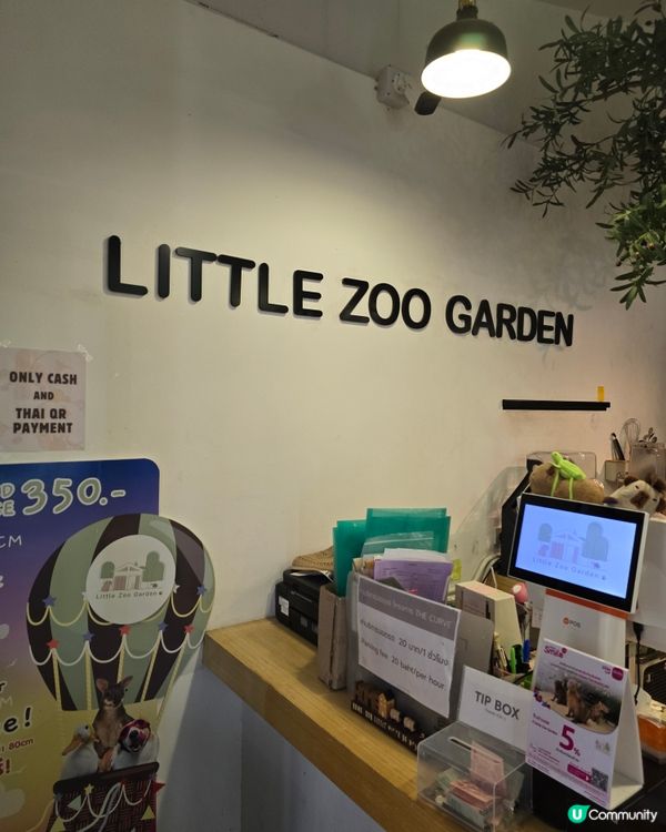 動物咖啡廳Animal Cafe，萌爆你心❤️