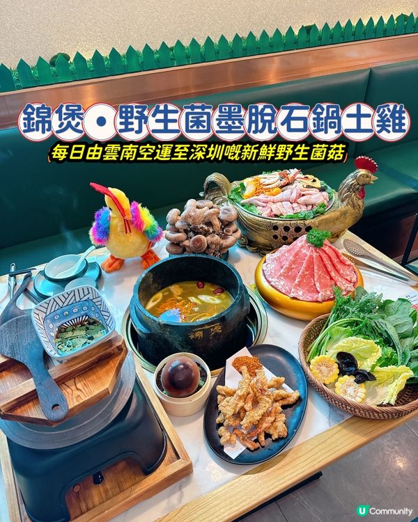 ## 雲南野生菌火鍋🍲  港人北上必試！