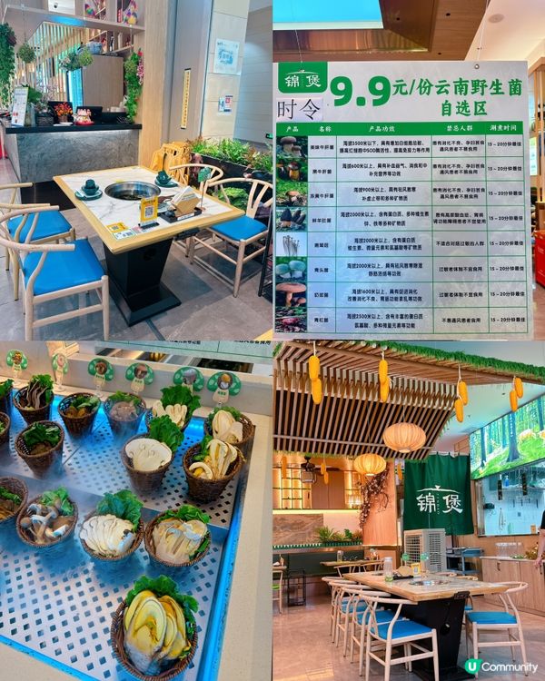 ## 雲南野生菌火鍋🍲  港人北上必試！