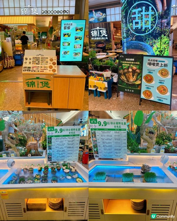 ## 雲南野生菌火鍋🍲  港人北上必試！