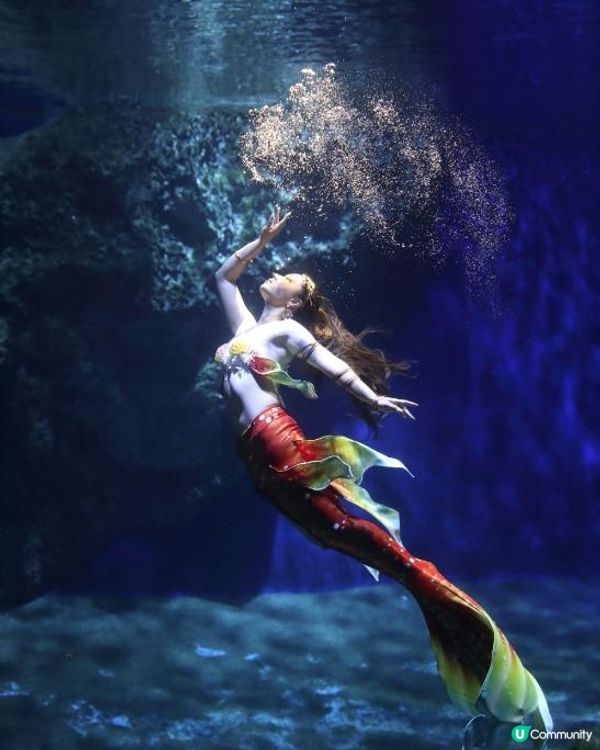 本來就愛游泳，終於來去小琉球進階自由潛水