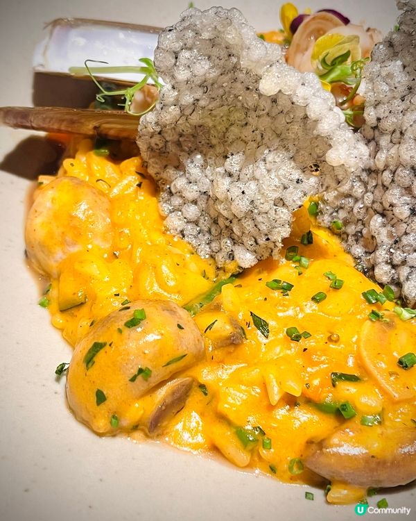 臥虎藏龍高質意大利西班牙fusion菜